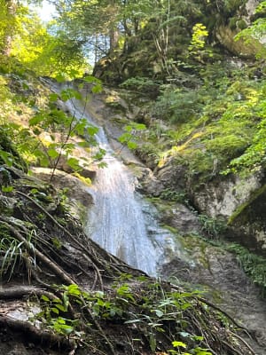 Vadrouille envoûtante à la cascade du Dard et moment doux - Villaz - 33