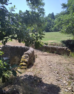 Balade à la butte de Gralhon et fil du Tarn - Florac-Trois-Rivières - 4
