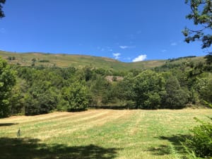 Super balade dans les bois entre Ignaux et Vaychis - Ax-les-Thermes - 7