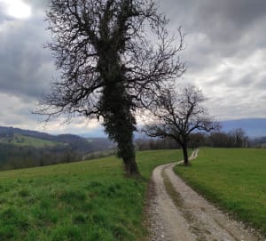 Circuit des Ondes - Hauteville-sur-Fier - 16