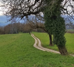 Circuit des Ondes - Hauteville-sur-Fier - 18