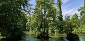 Amfreville-sur-Iton et les sentiers du bois des Planches - Nicolas - 3