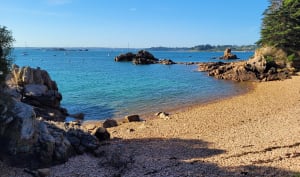 Ontdek de magie van het eiland Bréhat en zijn bloemencharme - Ile de Bréhat - 46