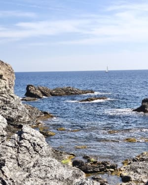 Du Brusc au Grand Gaou et la Pointe Salva - Six-Fours-les-Plages - 12