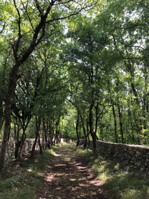Circuit des cabanes à Limogne-en-Quercy - Limogne-en-Quercy - 13