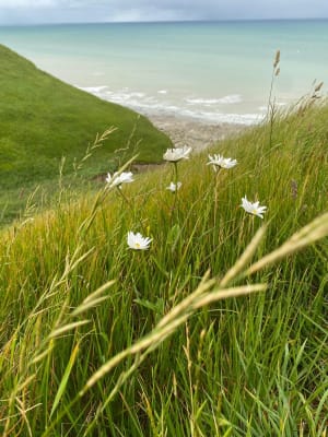 GR21 et aventure normande jusqu'aux falaises d'Etretat - Le Tréport - 2