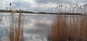 Marche au lac de Téteghem - Téteghem-Coudekerque-Village - 15