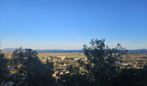 Bois de Costebelle et son Oppidum - Hyères - 6