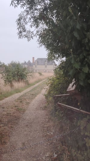 Randonnée des châteaux. Du Plessis Bourré aux Grands Ruaux. - Valérie - 4