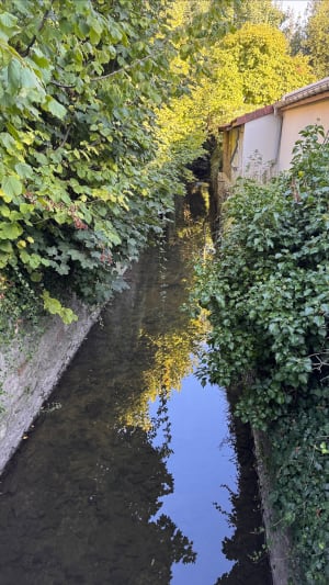 Balade au Parc Morbras - Sucy-en-Brie - 2