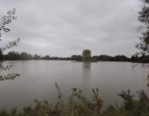 Randonnée des châteaux. Du Plessis Bourré aux Grands Ruaux. - Valérie - 6