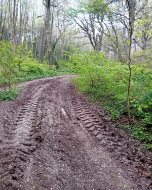 Randonnée VTT en forêt de Guînes - Guines - 2