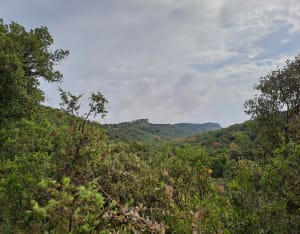 Randonnée autour du Château d'Allègre - Allègre-les-Fumades - 7