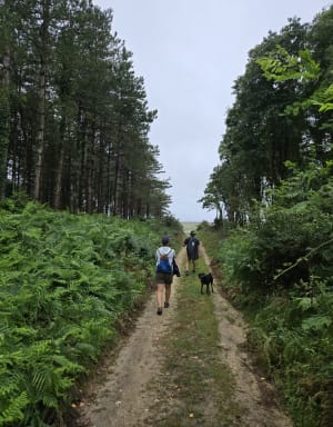 Petite mer et campagne en Plouhinec - Plouhinec - 18
