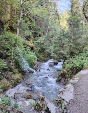 Vues sur Megève et détour à la cascade de la Belle au Bois - Megève - 9