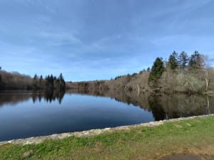 Forêt et étang du Chatenêt - Boisseuil - 8