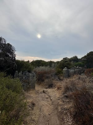 La pointe de Porto Polo de a Punta - Serra-di-Ferro - 6