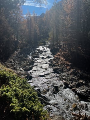 Lac de l’Orceyrette - Villar-Saint-Pancrace - 10