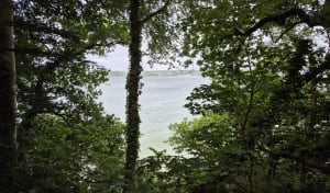 Boucle de Sainte Barbe - Plestin-les-Grèves - 21