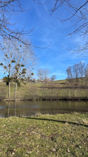 Dans les Monts du Lyonnais, par Grand Mont, depuis Riverie - Riverie - 17