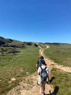 OT Brem: entre marais, forêt d'Olonne, et dunes - Brem-sur-Mer - 14