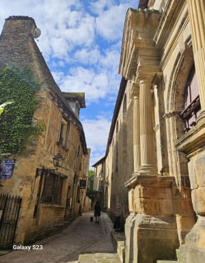 Les petits pas dans les grands à Sarlat-la-Canéda - Sarlat-la-Canéda - 14