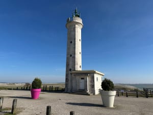 Des galets aux phoques à Cayeux-sur-Mer - Cayeux-sur-Mer - 6