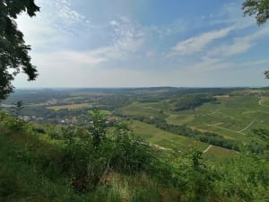 De Menétru-le-vignoble à Château-Chalon - Menétru-le-Vignoble - 21