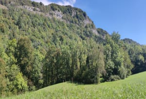 Les hauts de St Jean de Chevelu - Saint-Jean-de-Chevelu - 2