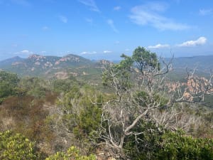 Ascension des Grandes Grues dans le massif de l'Esterel - Théoule-sur-Mer - 5
