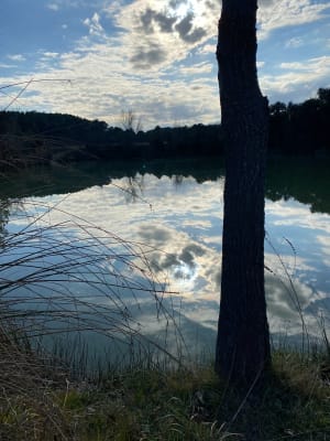 De omgeving van Saint-Drézéry, het meer van St-Jean de Cornies - Saint-Drézéry - 14
