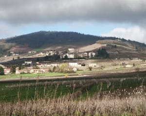 La Chapelle-de-Guinchay et son terroir : saveurs divines - Virginie - 5