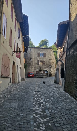 Cité de Conflans et rêveries médiévales - Conflans (Alberville) - 5