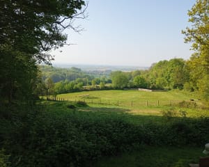 Chemin des jacinthes à Boeschepe - Boeschepe - 20