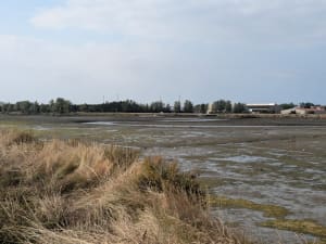 Grande boucle depuis Olonne sur Mer - Les Sables-d'Olonne - 2