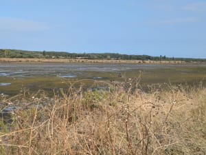 Grande boucle depuis Olonne sur Mer - Les Sables-d'Olonne - 4