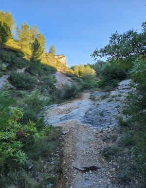Le long de l'Arc à Aix - Aix-en-Provence - 9