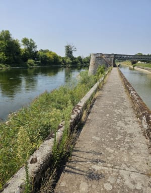 Jaagpad en oevers van de Loire in Combleux - Combleux - 2