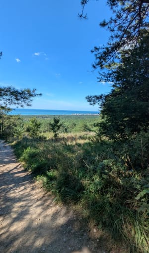 Ascension du mont Saint-Frieux et bord de plage - Dannes - 7