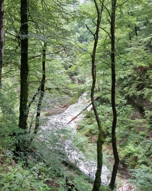 Gorges du pont du diable - La Vernaz - 14
