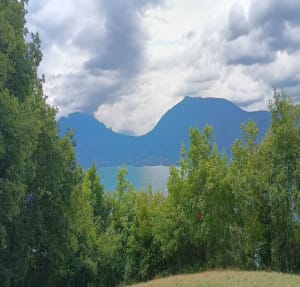 Balade en forêt et vue sur le lac d'Annecy - Annecy - 10