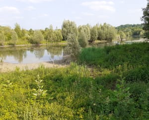 Departementaal park Haute-Île in Chelles - Chelles - 3