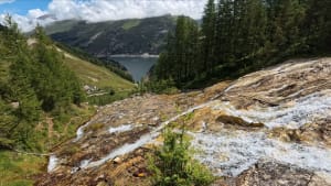 Botanische route van het Bois de la Laye en de Salins-poelen - Tignes - 14