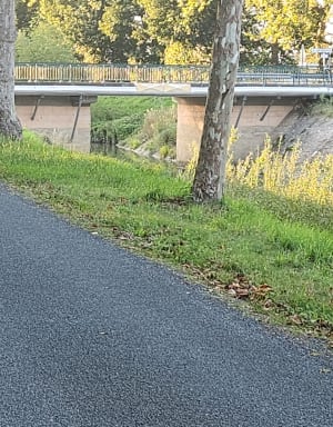 Balade le long du canal de Pont-de-Vaux - Olivier - 3