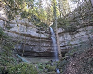 Rondleiding door de Dessoubre-vallei en verfrissend bad - Mont-de-Vougney - 5