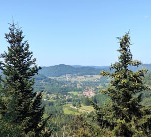 Le tour des cascades de Tendon - Le Tholy - 5