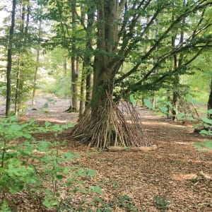 La jolie Forêt - Saint-Amand-les-Eaux - 6