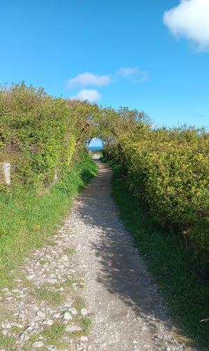 La + chouette rando des Hauts-de-France - Sangatte - 47