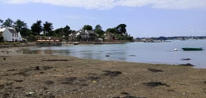 Île aux moines et celtitudes méridionales - Île-aux-Moines - 22