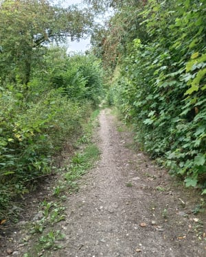 Le sentier des Poilus et la colline de Notre-Dame de Lorette - Souchez - 8
